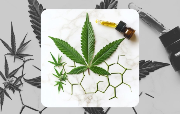 Overview Of Cbd
