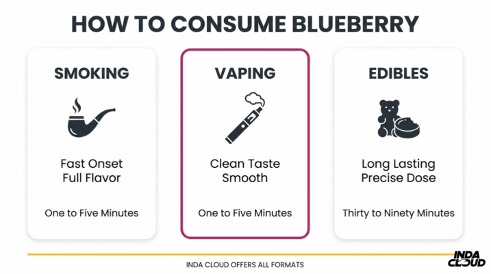Blueberry Strain: Info, Effects, &Amp; More 5 Blueberry Strain Consumption Methods Comparison Showing Smoking, Vaping, And Edibles With Onset Times And Experience Differences