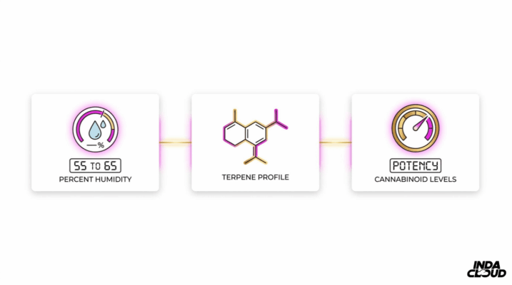 Art Of Joint Smoke: Master The Technique &Amp; Tips 4 Cannabis Flower Quality Factors Infographic Showing Ideal Humidity, Terpene Profile, And Cannabinoid Potency Levels